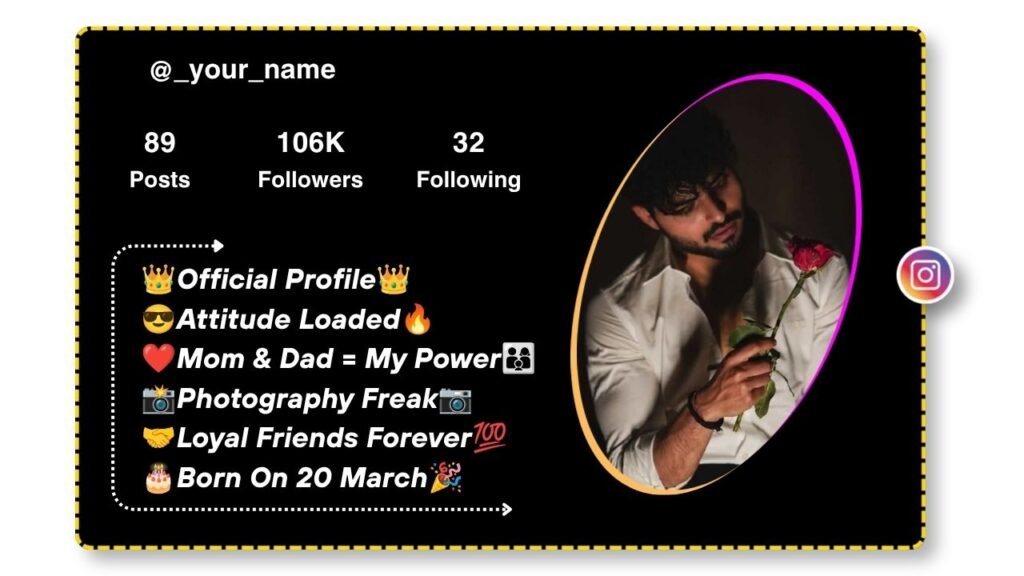 Instagram Bio for Boys Attitude